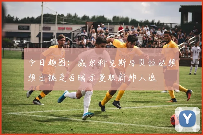 今日趣图：威尔科克斯与贝拉达频频出镜是否暗示曼联新帅人选